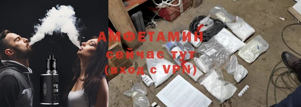 ECSTASY Богданович