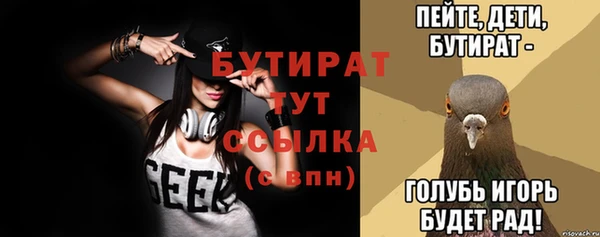 молекула духа Богородицк