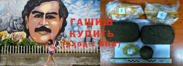 молекула духа Богородицк