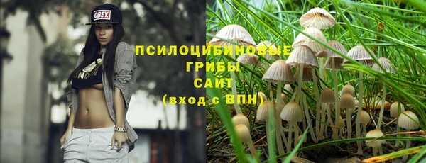 ECSTASY Богданович