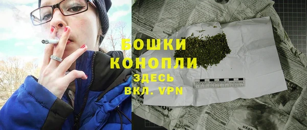 молекула духа Богородицк