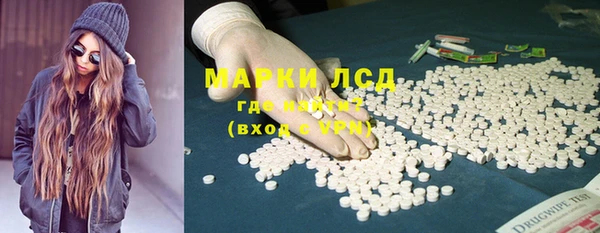 ECSTASY Богданович