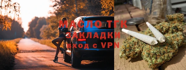 молекула духа Богородицк
