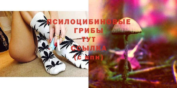 ECSTASY Богданович