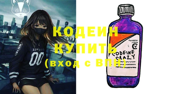 молекула духа Богородицк
