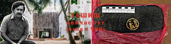 ECSTASY Богданович
