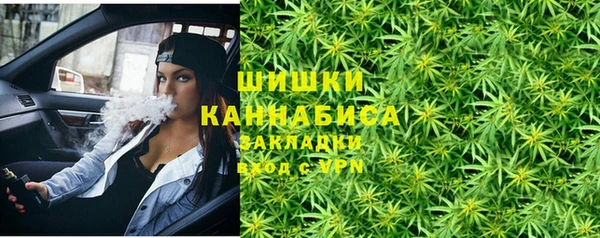 ECSTASY Богданович