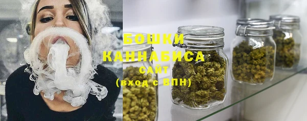 молекула духа Богородицк